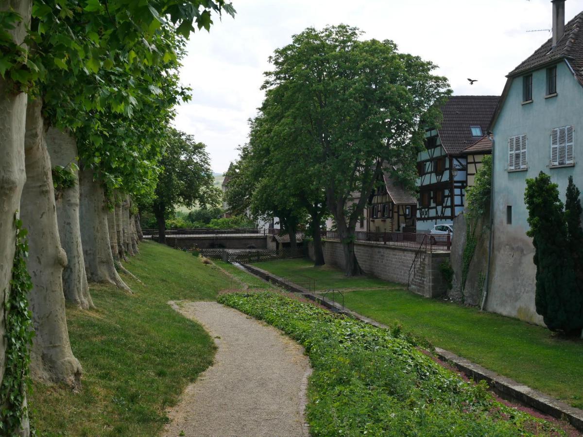 La Cour St-Fulrad - Appartements Saint-Hippolyte  Exterior foto